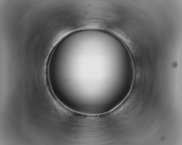 X0000098211423200805011200