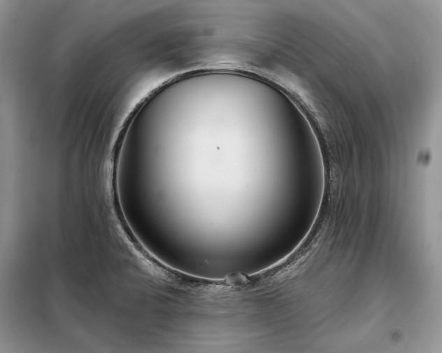 X0000098211424200805011200