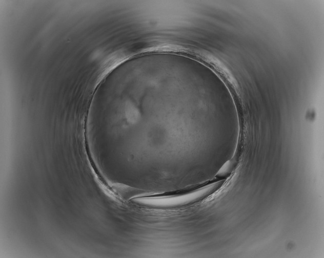 X0000098211425200805011200