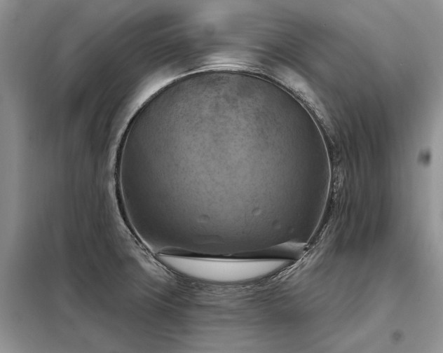 X0000098211427200805011200