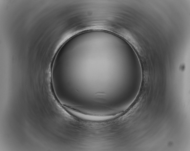 X0000098211428200805011200