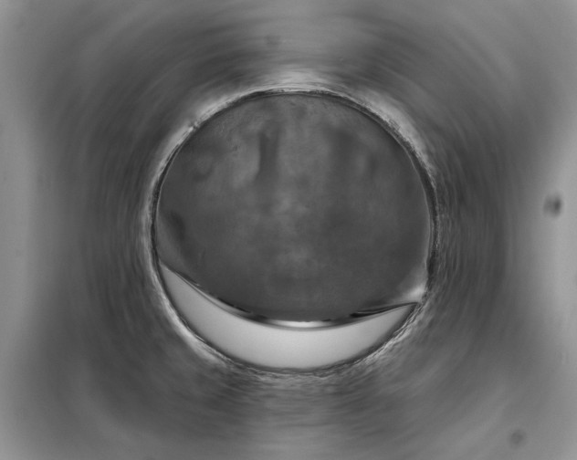 X0000098211429200805011200