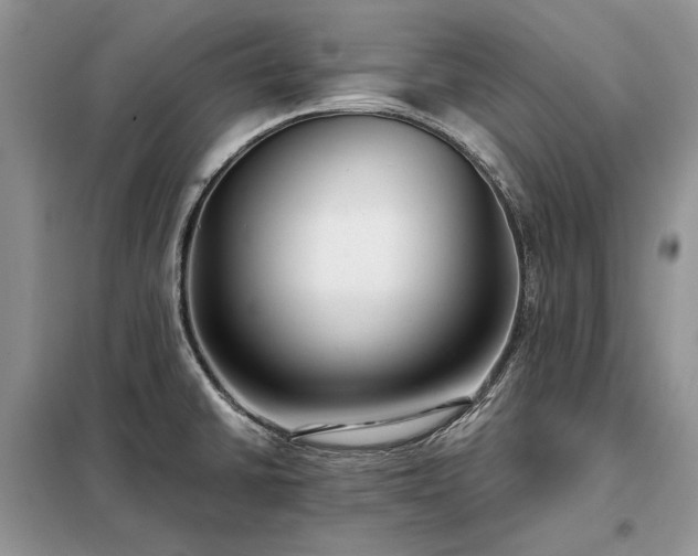 X0000098211430200805011200