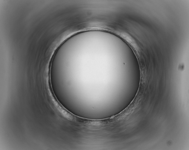 X0000098211431200805011200