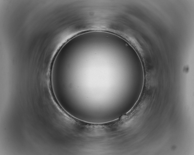 X0000098211432200805011200