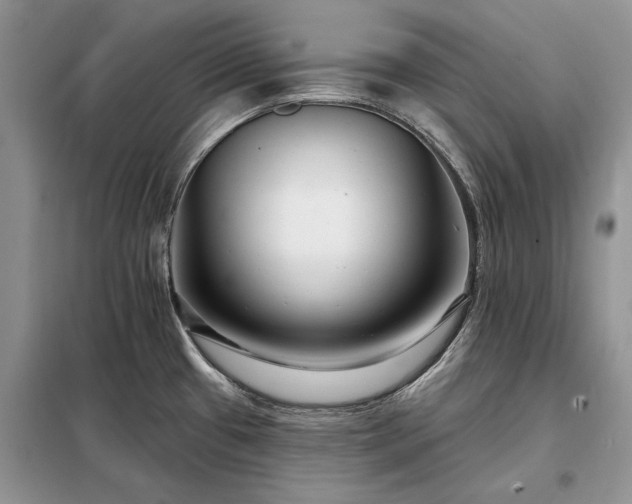 X0000098211433200805011200