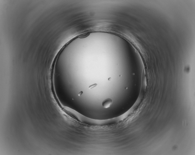 X0000098211434200805011200