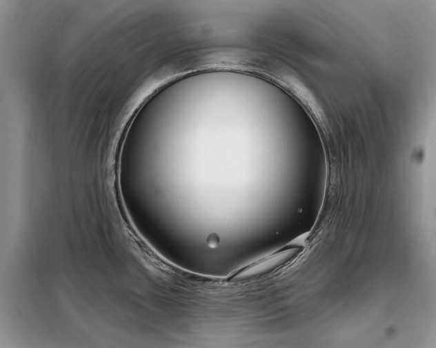 X0000098211435200805011200