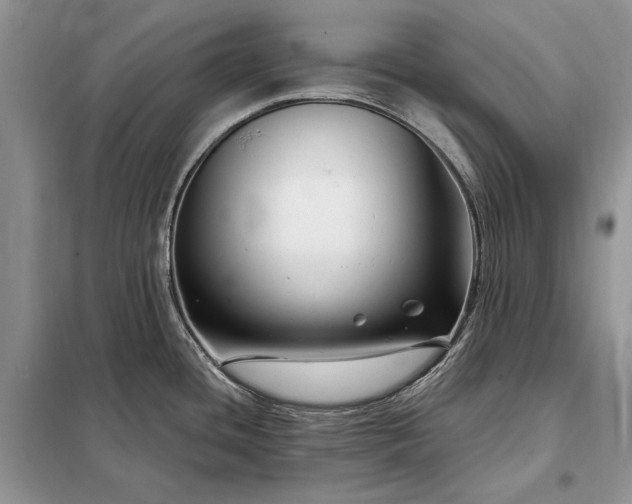 X0000098211436200805011200