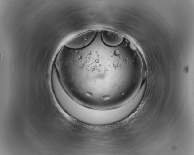 X0000098211437200805011200