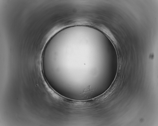 X0000098211439200805011200