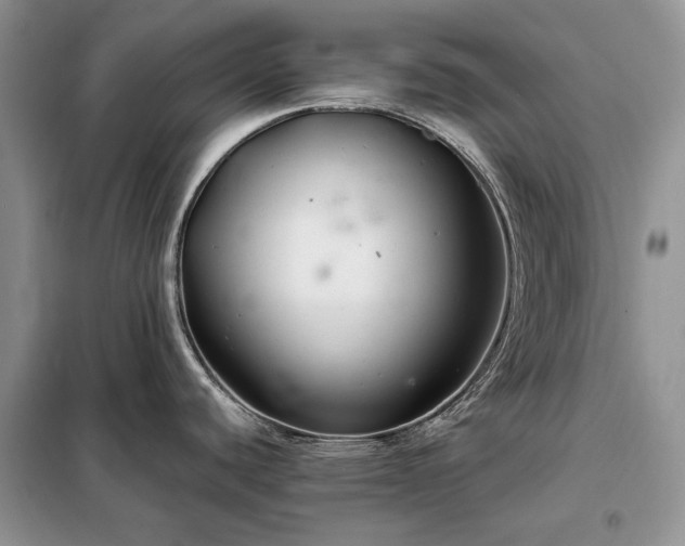 X0000098211440200805011200