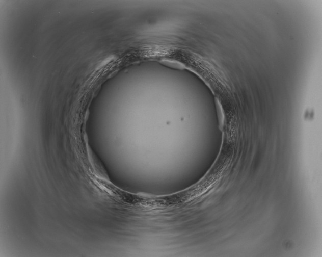X0000098211441200805011159