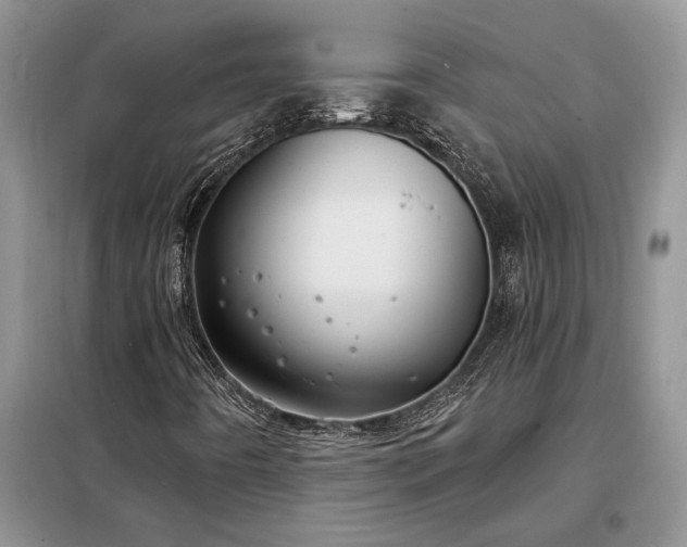 X0000098211442200805011159