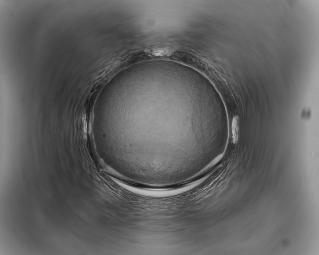 X0000098211443200805011159