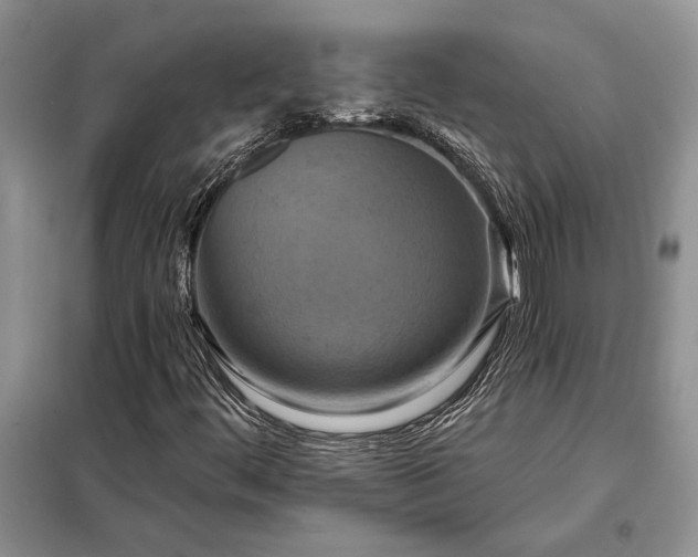 X0000098211444200805011159
