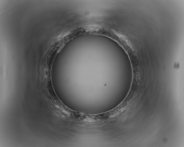 X0000098211445200805011159