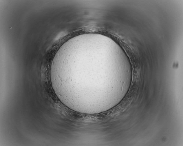 X0000098211446200805011159