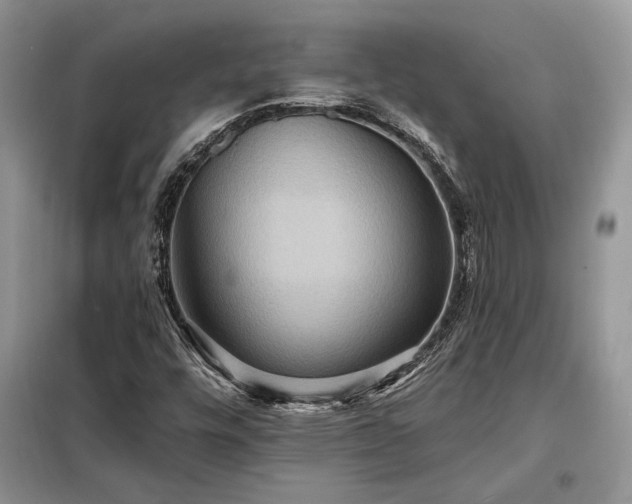 X0000098211448200805011159