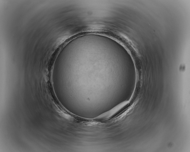 X0000098211449200805011159