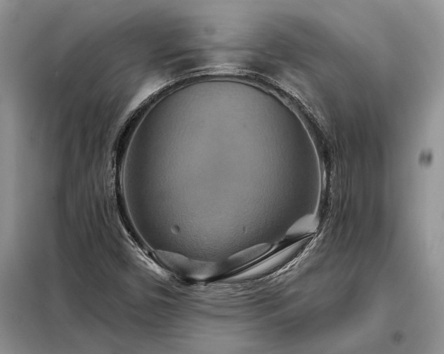 X0000098211450200805011159