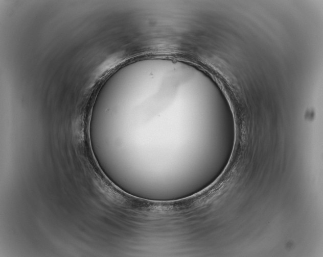 X0000098211451200805011159