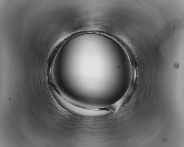 X0000098211452200805011159