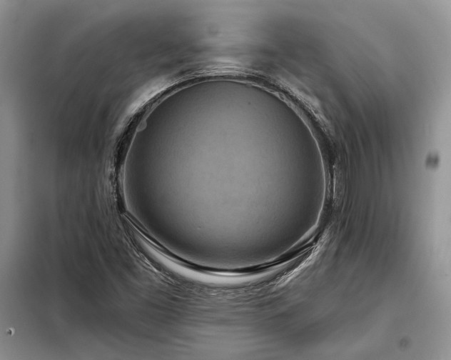 X0000098211453200805011159