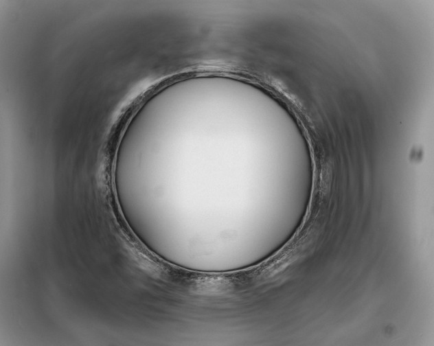 X0000098211454200805011159