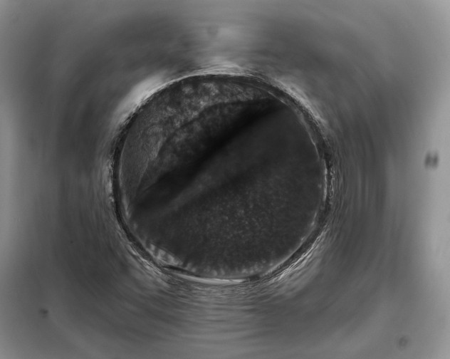 X0000098211455200805011159