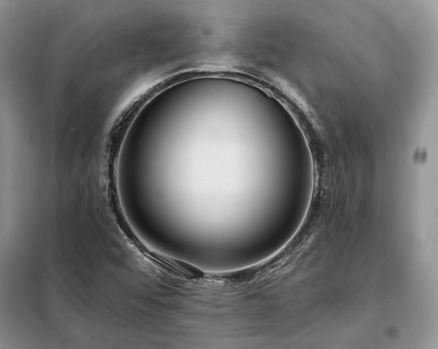 X0000098211456200805011159
