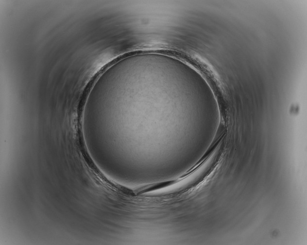 X0000098211457200805011159
