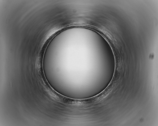 X0000098211458200805011159