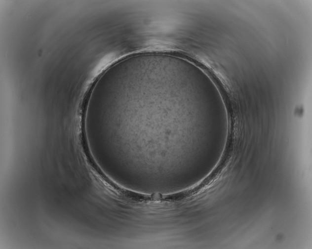 X0000098211459200805011159