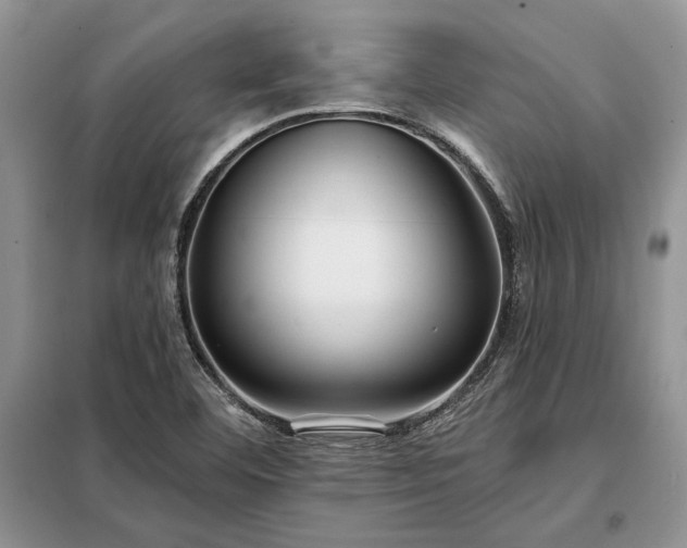 X0000098211460200805011159