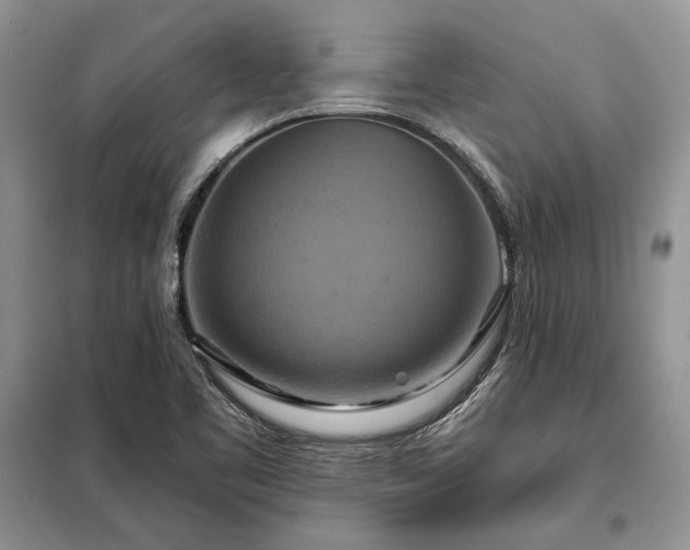X0000098211461200805011159