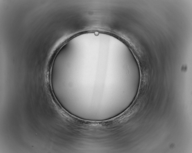 X0000098211462200805011159