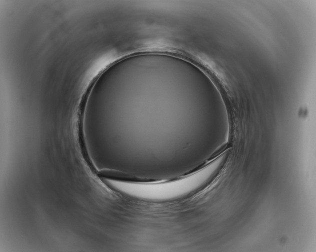 X0000098211463200805011159