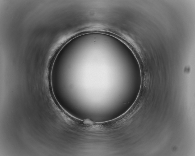 X0000098211464200805011159