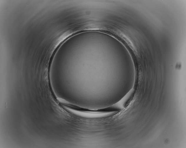 X0000098211465200805011159