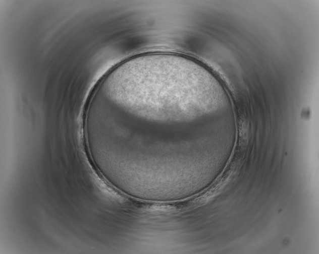 X0000098211466200805011159