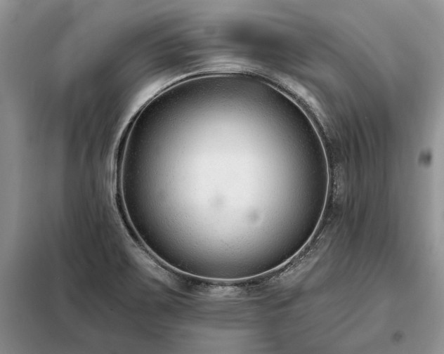X0000098211467200805011159