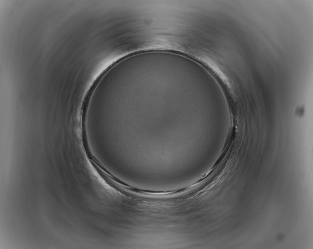 X0000098211468200805011159