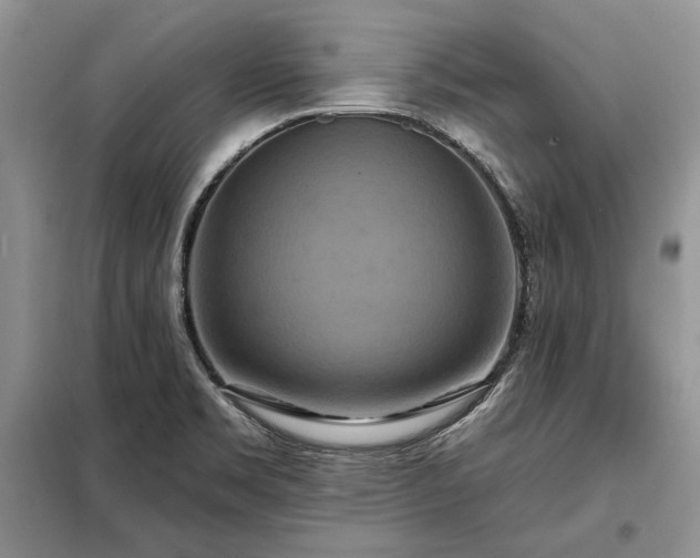 X0000098211469200805011159