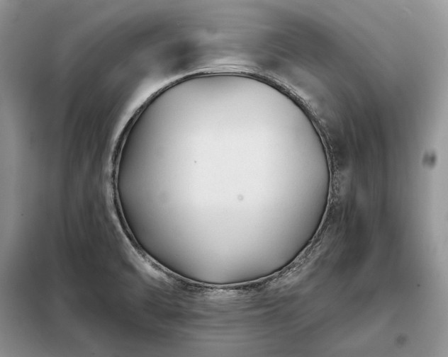 X0000098211470200805011159