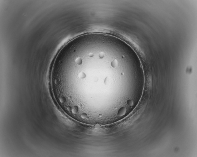 X0000098211471200805011159