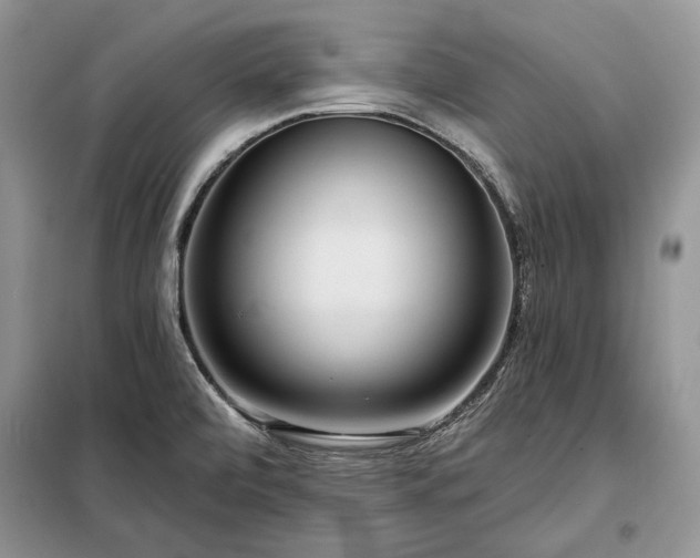 X0000098211472200805011159
