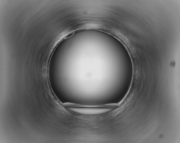 X0000098211473200805011159