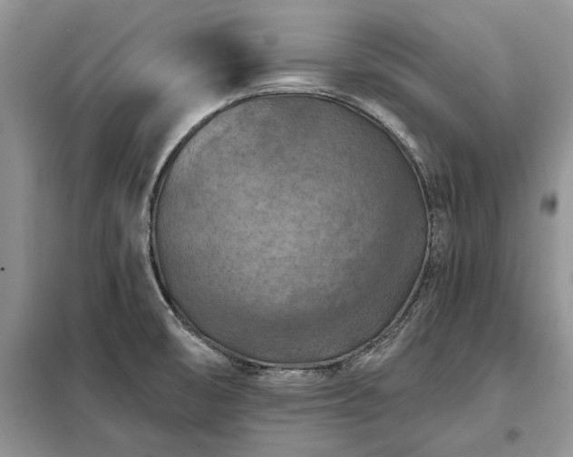 X0000098211474200805011159