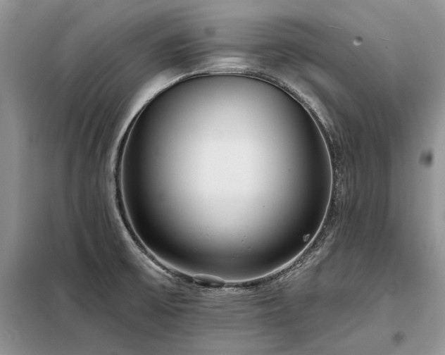 X0000098211475200805011159